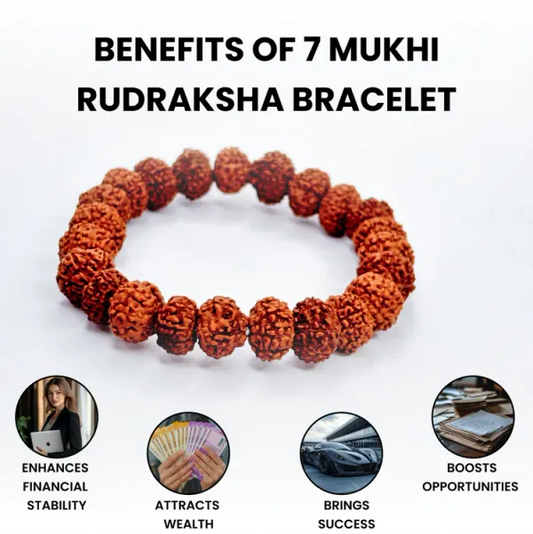 7 mukhi rudraksha