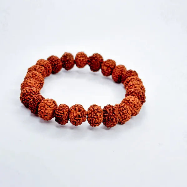 7 mukhi rudraksha